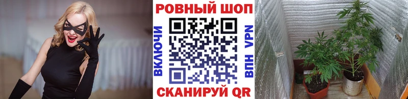 Купить закладку Каннабис  COCAIN  Альфа ПВП  МЕФ  ГАШИШ  Ясногорск