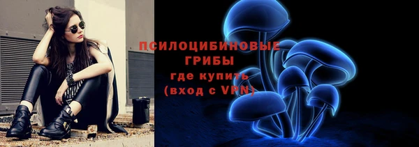 хмурый Вязники