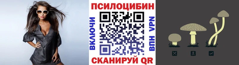 Купить  Ясногорск  Псилоцибиновые грибы Psilocybine cubensis 